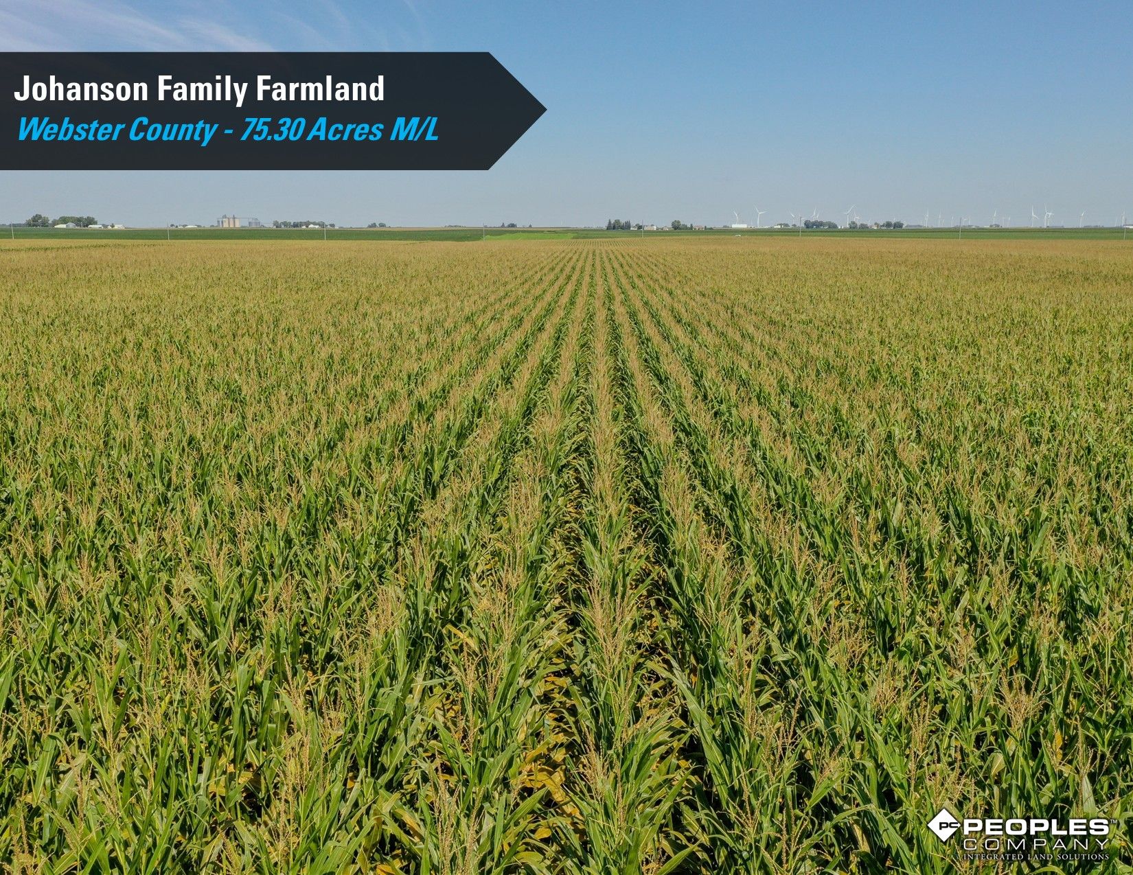 Listing Photo: Webster County Iowa Farmland Available 3